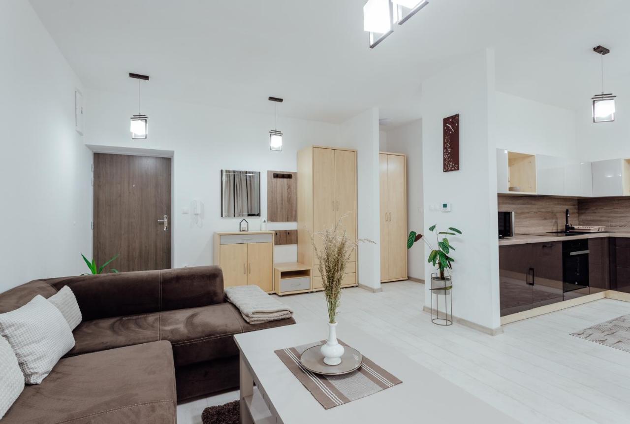 Banská Štiavnica Apartman Vo Vile Kammergraf מראה חיצוני תמונה