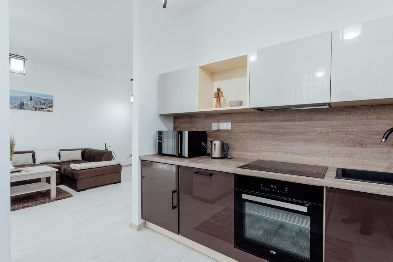 Banská Štiavnica Apartman Vo Vile Kammergraf מראה חיצוני תמונה